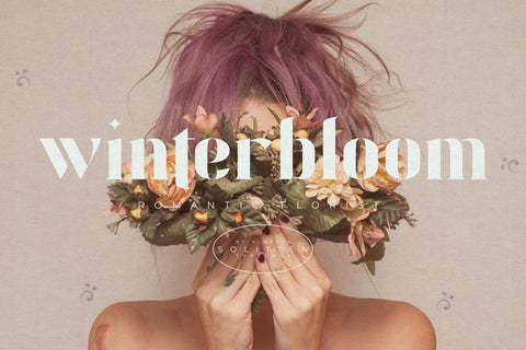 Solitten | Elegant & Stylish Typeface Font studioalmeera 