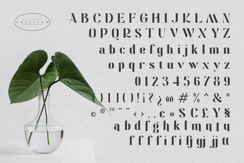 Solitten | Elegant & Stylish Typeface Font studioalmeera 