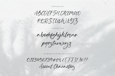Solitude Modern Handwritten Font Font Letterative 