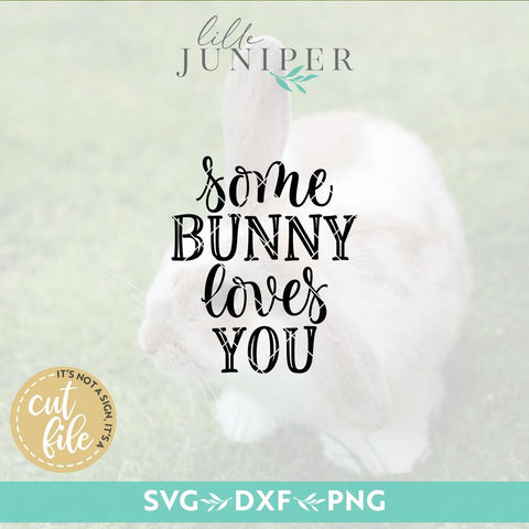 Some Bunny Loves You SVG | Easter svg | Farmhouse Sign Design SVG LilleJuniper 