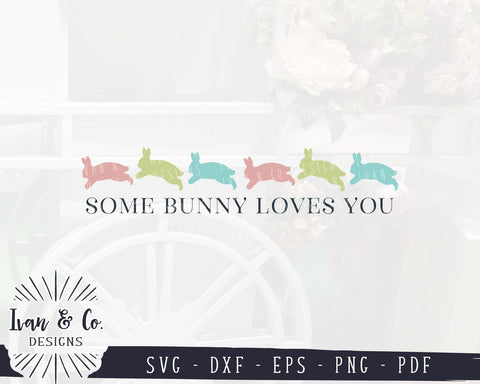 Some Bunny Loves You SVG Files | Easter | Bunny | Rabbit | Farmhouse SVG (959060706) SVG Ivan & Co. Designs 