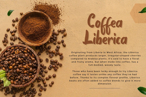 Somebody - Bold Script font Font Ibey Design 