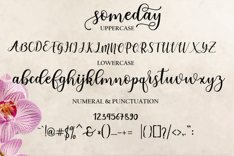 Someday Script Font Mrletters 