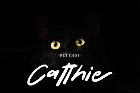 Something Shine Font Afandi Studio 