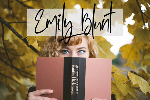 Sophisticated Signature Font Dm Letter Studio 