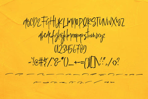 Sophisticated Signature Font Dm Letter Studio 