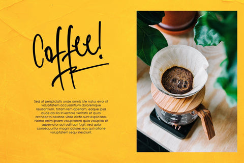 Sophisticated Signature Font Dm Letter Studio 