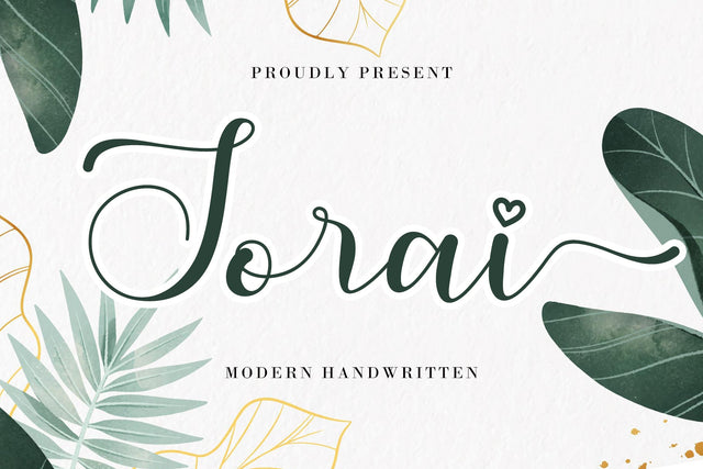 Sorai Font AEN Creative Store 