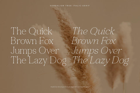 sorealism Typeface Font Storytype Studio 
