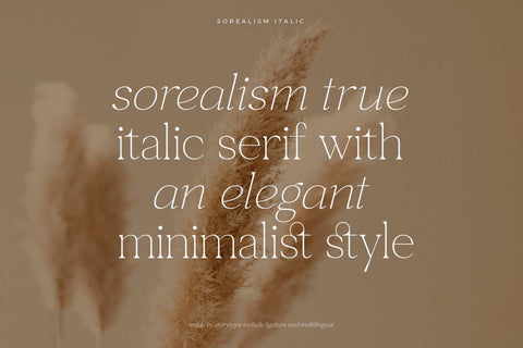 sorealism Typeface Font Storytype Studio 