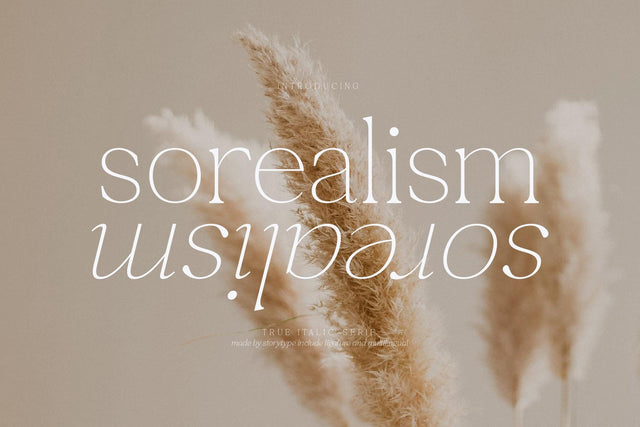 sorealism Typeface Font Storytype Studio 