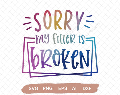 Sorry my filter is broken SVG, SVG graphics, Funny, funny sayings, sublimation,funny tumblers, adulting, waterslide images SVG DiamondDesign 