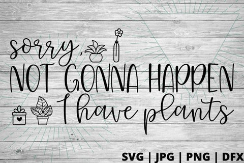 Sorry not gonna happen I have plants SVG Good Morning Chaos 