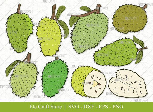 Soursop Clipart SVG Cut File | Soursop Graviola Svg | Guanabana Svg | Graviola Svg | Muricata | Bundle | Eps | Dxf | Png SVG ETC Craft 