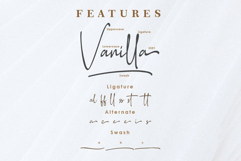 Southampton Script Font Font Balevgraph Studio 