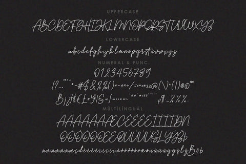 Southwell Script Font Font Balevgraph Studio 