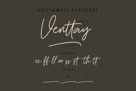 Southwell Script Font Font Balevgraph Studio 