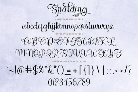 Spalding Script Font Zane Studio55 