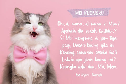 Special Birthday Font Allouse.Studio 