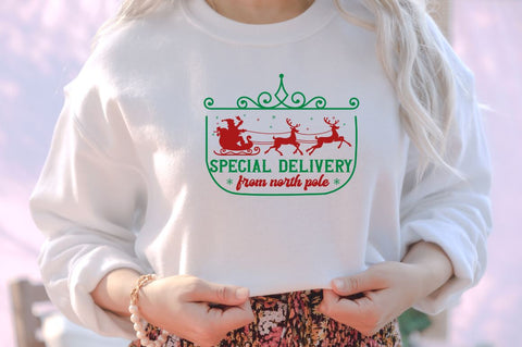 Special delivery from north pole SVG SVG DESIGNISTIC 