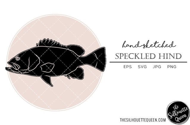 Speckled Hind Hand sketched, hand drawn vector clipart SVG Loveleen Kaur 
