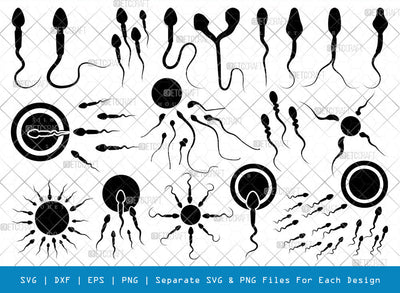 Sperm SVG, Sperm Silhouette, Male Anatomy Svg, Semen Svg, Cum Svg, Sex Funtion Svg, Human sperm cell Svg, Sperm Bundle, SVG ETC Craft 