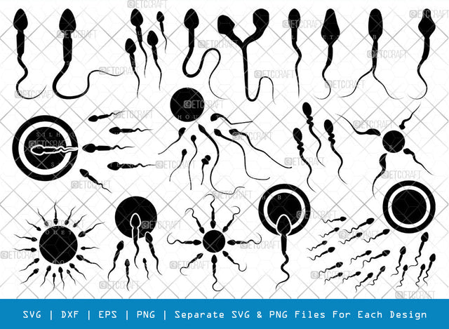 Sperm SVG, Sperm Silhouette, Male Anatomy Svg, Semen Svg, Cum Svg, Sex Funtion Svg, Human sperm cell Svg, Sperm Bundle, SVG ETC Craft 