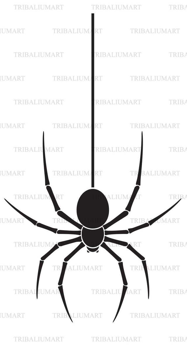 Spider and web SVG TribaliumArtSF 