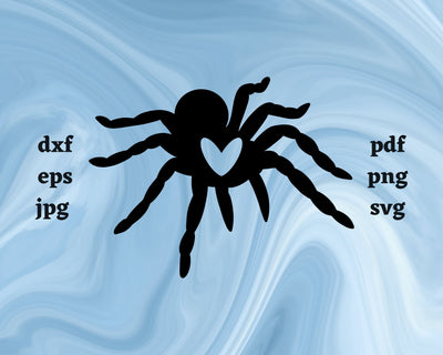 Spider Heart SVG Cut File SVG Northern Light SVG 