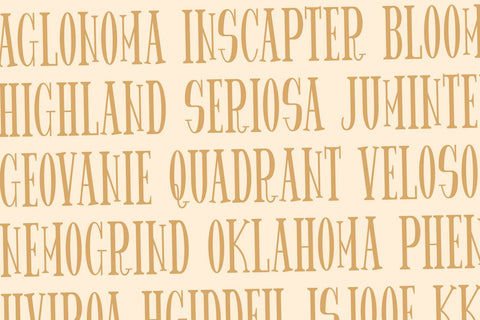 Spider King - Beautiful Serif Font Font StringLabs 