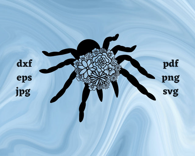 Spider Mandala SVG Cut File SVG Northern Light SVG 