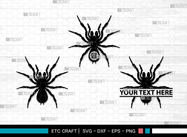 Spider Monogram, Spider Silhouette, Spider SVG, Arachnid Svg, Spider Web Svg, Cobweb Svg, Spooky Spider Svg, SB00323 SVG ETC Craft 