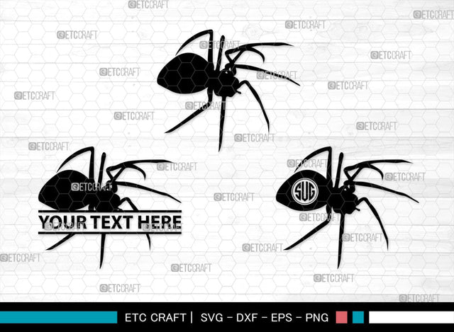 Spider Monogram, Spider Silhouette, Spider SVG, Arachnid Svg, Spider Web Svg, Cobweb Svg, Spooky Spider Svg, SB00323 SVG ETC Craft 