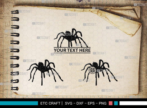 Spider Monogram, Spider Silhouette, Spider SVG, Arachnid Svg, Spider Web Svg, Cobweb Svg, Spooky Spider Svg, SB00323 SVG ETC Craft 