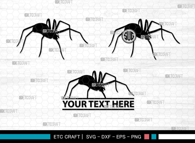 Spider Monogram, Spider Silhouette, Spider SVG, Arachnid Svg, Spider Web Svg, Cobweb Svg, Spooky Spider Svg, SB00323 SVG ETC Craft 
