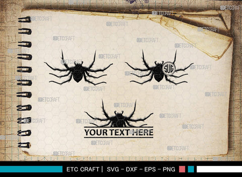 Spider Monogram, Spider Silhouette, Spider SVG, Arachnid Svg, Spider Web Svg, Cobweb Svg, Spooky Spider Svg, SB00323 SVG ETC Craft 