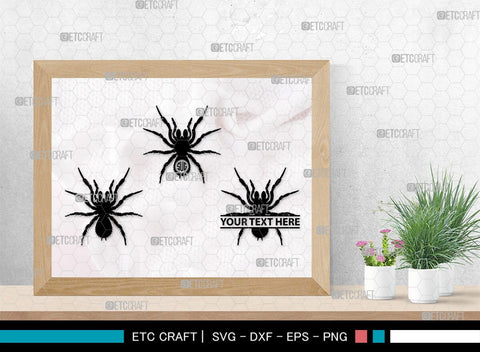 Spider Monogram, Spider Silhouette, Spider SVG, Arachnid Svg, Spider Web Svg, Cobweb Svg, Spooky Spider Svg, SB00323 SVG ETC Craft 