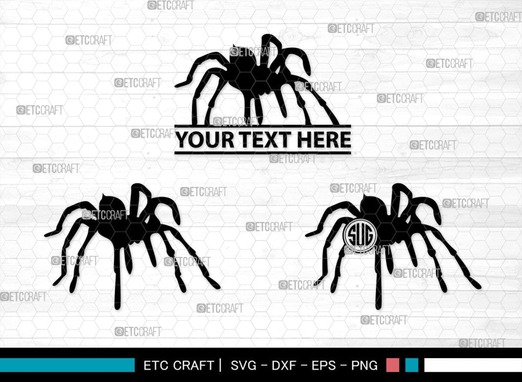 Spider Monogram, Spider Silhouette, Spider SVG, Arachnid Svg, Spider ...