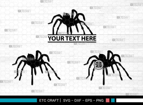 Spider Monogram, Spider Silhouette, Spider SVG, Arachnid Svg, Spider Web Svg, Cobweb Svg, Spooky Spider Svg, SB00323 SVG ETC Craft 