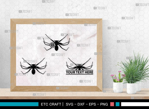 Spider Monogram, Spider Silhouette, Spider SVG, Arachnid Svg, Spider Web Svg, Cobweb Svg, Spooky Spider Svg, SB00323 SVG ETC Craft 