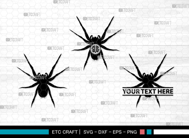 Spider Monogram, Spider Silhouette, Spider SVG, Arachnid Svg, Spider Web Svg, Cobweb Svg, Spooky Spider Svg, SB00323 SVG ETC Craft 