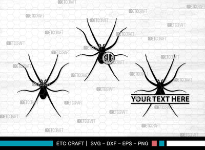 Spider Monogram, Spider Silhouette, Spider SVG, Arachnid Svg, Spider Web Svg, Cobweb Svg, Spooky Spider Svg, SB00323 SVG ETC Craft 