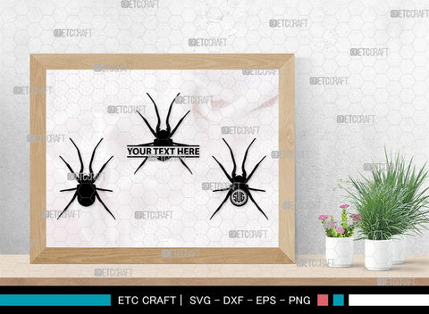 Spider Monogram, Spider Silhouette, Spider SVG, Arachnid Svg, Spider Web Svg, Cobweb Svg, Spooky Spider Svg, SB00323 SVG ETC Craft 