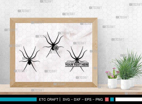 Spider Monogram, Spider Silhouette, Spider SVG, Arachnid Svg, Spider Web Svg, Cobweb Svg, Spooky Spider Svg, SB00323 SVG ETC Craft 