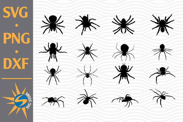 Spider Silhouette SVG, PNG, DXF Digital Files Include SVG SVGStoreShop 