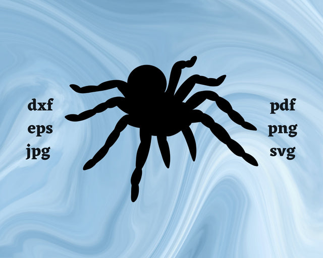 Spider SVG Cut File SVG Northern Light SVG 