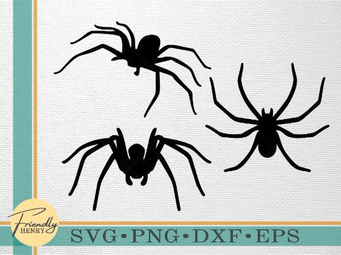 Spider SVG | Spider Halloween SVG Bundle SVG Friendly Henry 