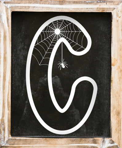 Spider Web Font Font MasterFontStore 