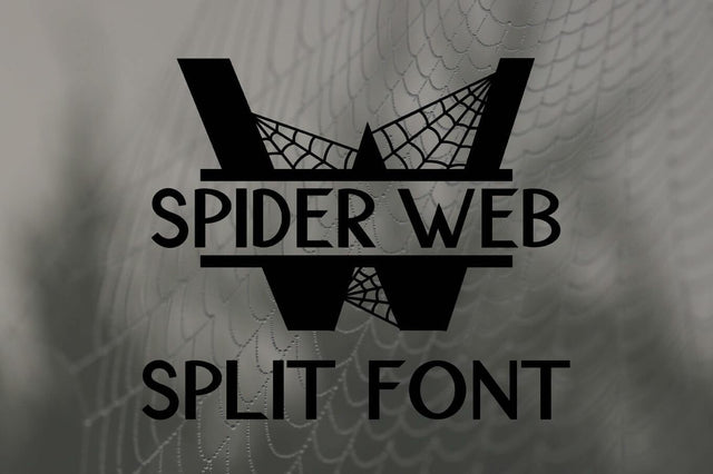 Spider Web Split Font - A Monogram Font Font Cheese Toast Digitals