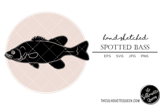 Spotted Bass Hand sketched, hand drawn vector clipart SVG Loveleen Kaur 